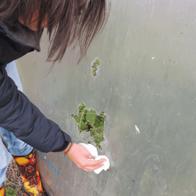 fixing a hole in a polytunnel