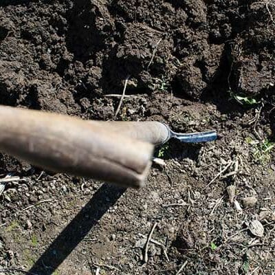 shovel in soil with wooden handle