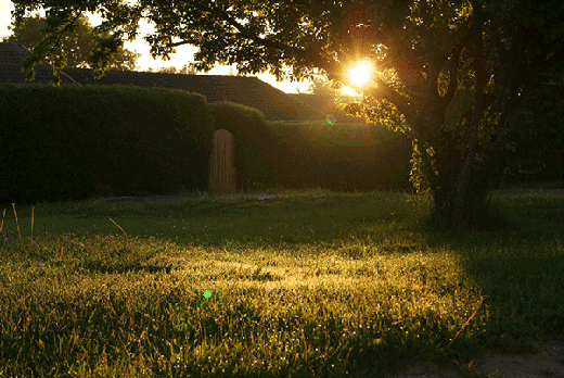 a bare garden in need of garden makeover ideas