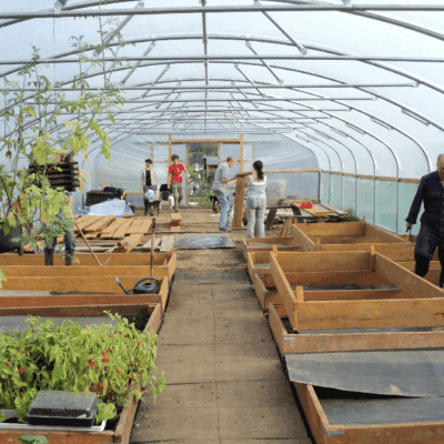 people taking steps to keep cool in a polytunnel