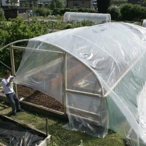polythene cover being pulled onto a polytunnel frame