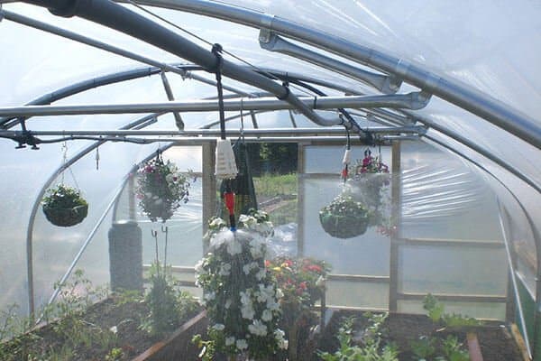 irrigation in a polytunnel