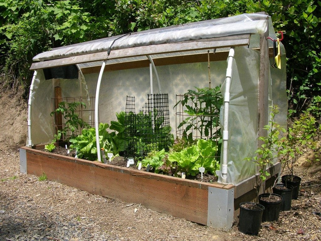 retracted doors to keep cool in a polytunnel