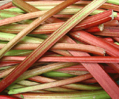 rhubarb