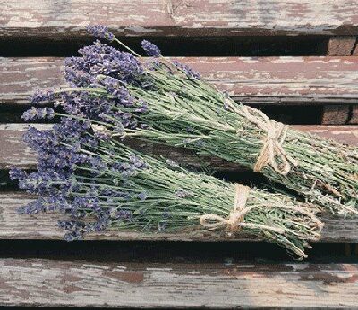 dried lavender