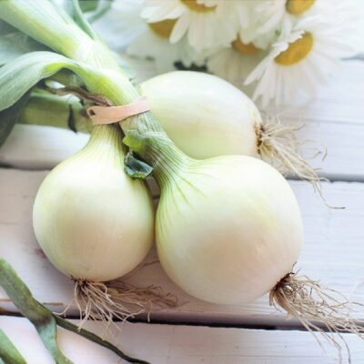 bunch of onions