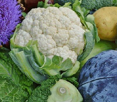 cauliflower