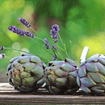 artichokes