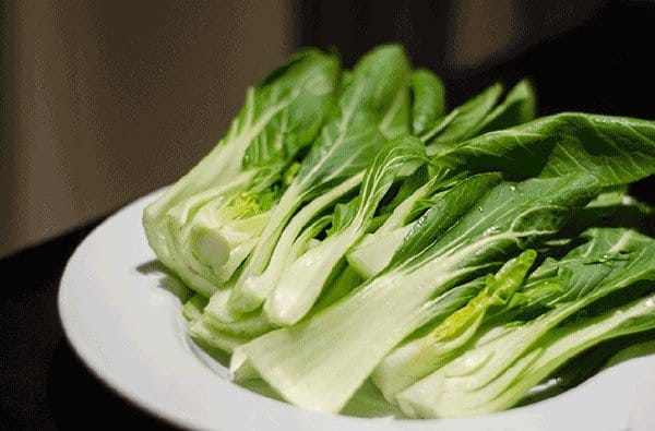 pak choi