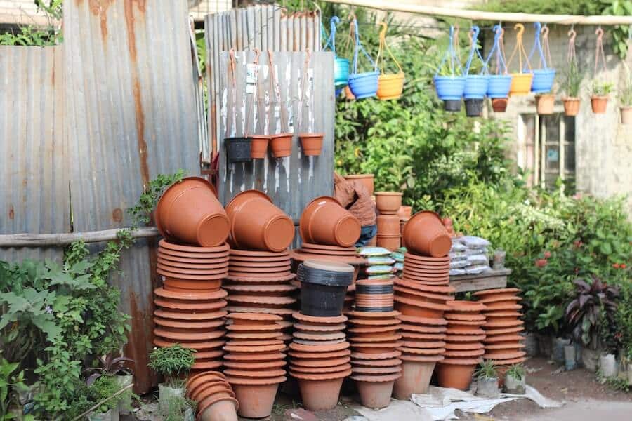 plant pots in an urban garden