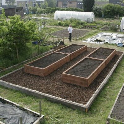 polytunnel layout
