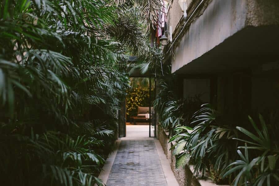 an urban garden surrounding a garden path