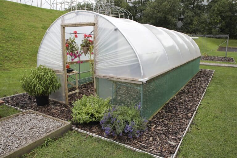 Are Polytunnels Environmentally Friendly?