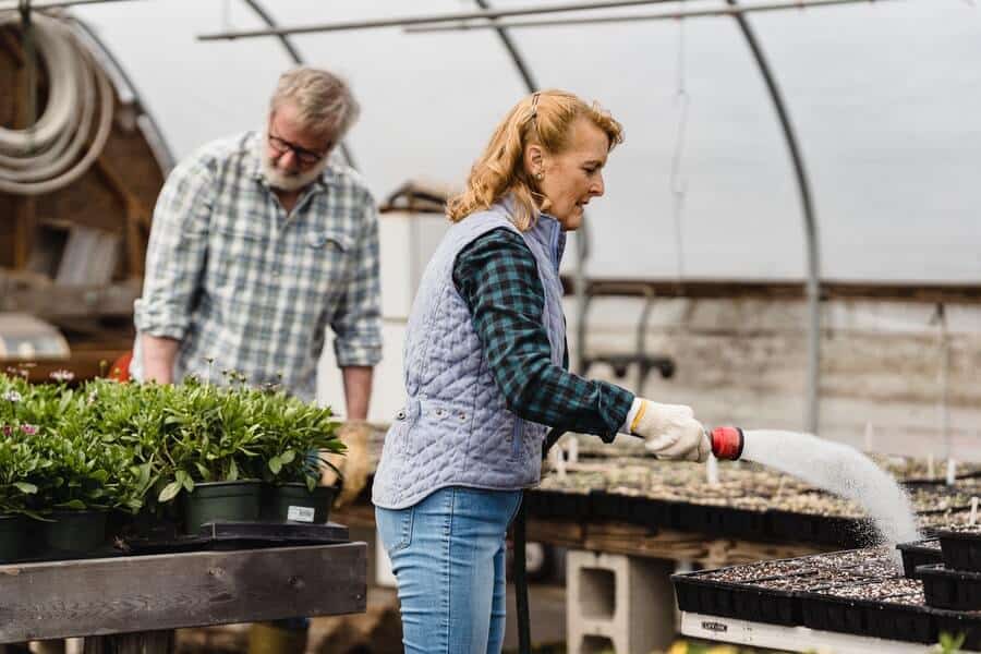 gardeners watering their polytunnel container garden 1