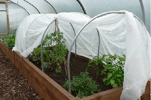 horticultural fleece over cloche hoops