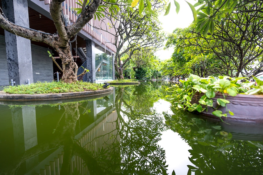 joined water gardens outdoors