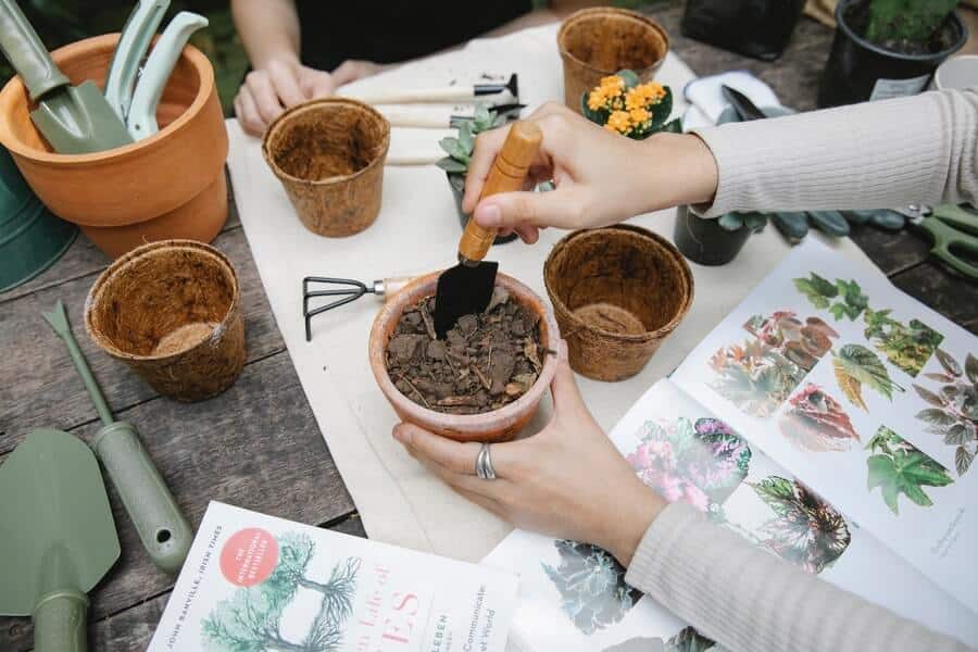 person potting container plants