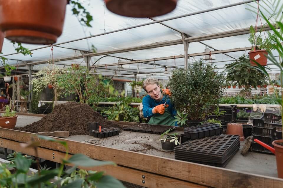 polytunnel gardeners using mulch
