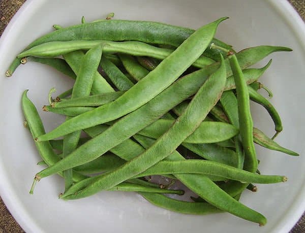 bowl of runner beans