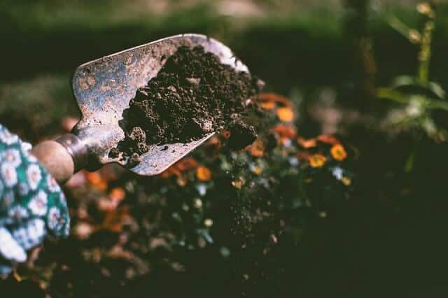 compost