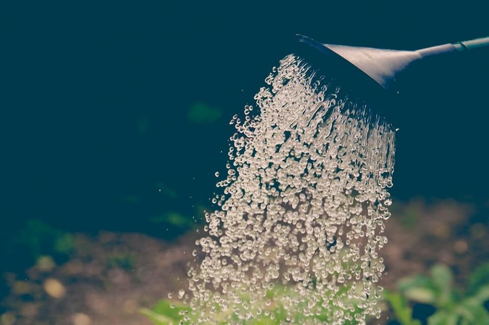 watering can