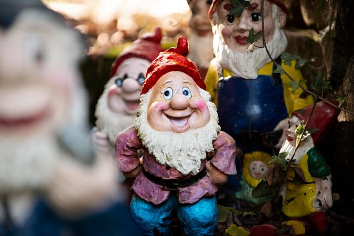 world naked gardening day cheeky gnomes