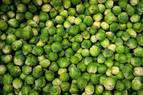 lots of brussel sprouts