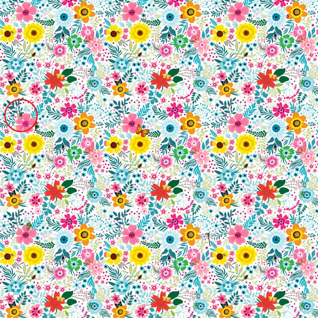 Spot The Bee Answer 3