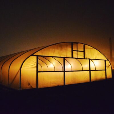 polytunnel lighting