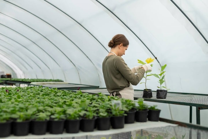 polytunnel lighting