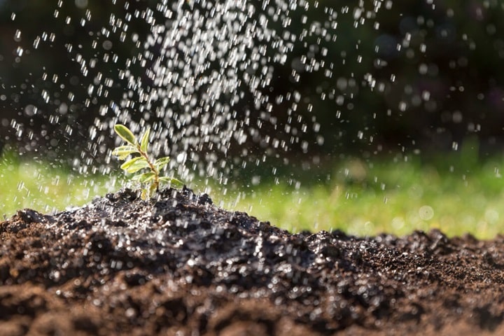 automatic watering system plant growth benefits