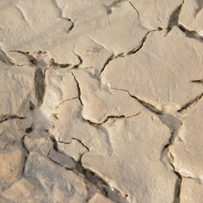 clay soil