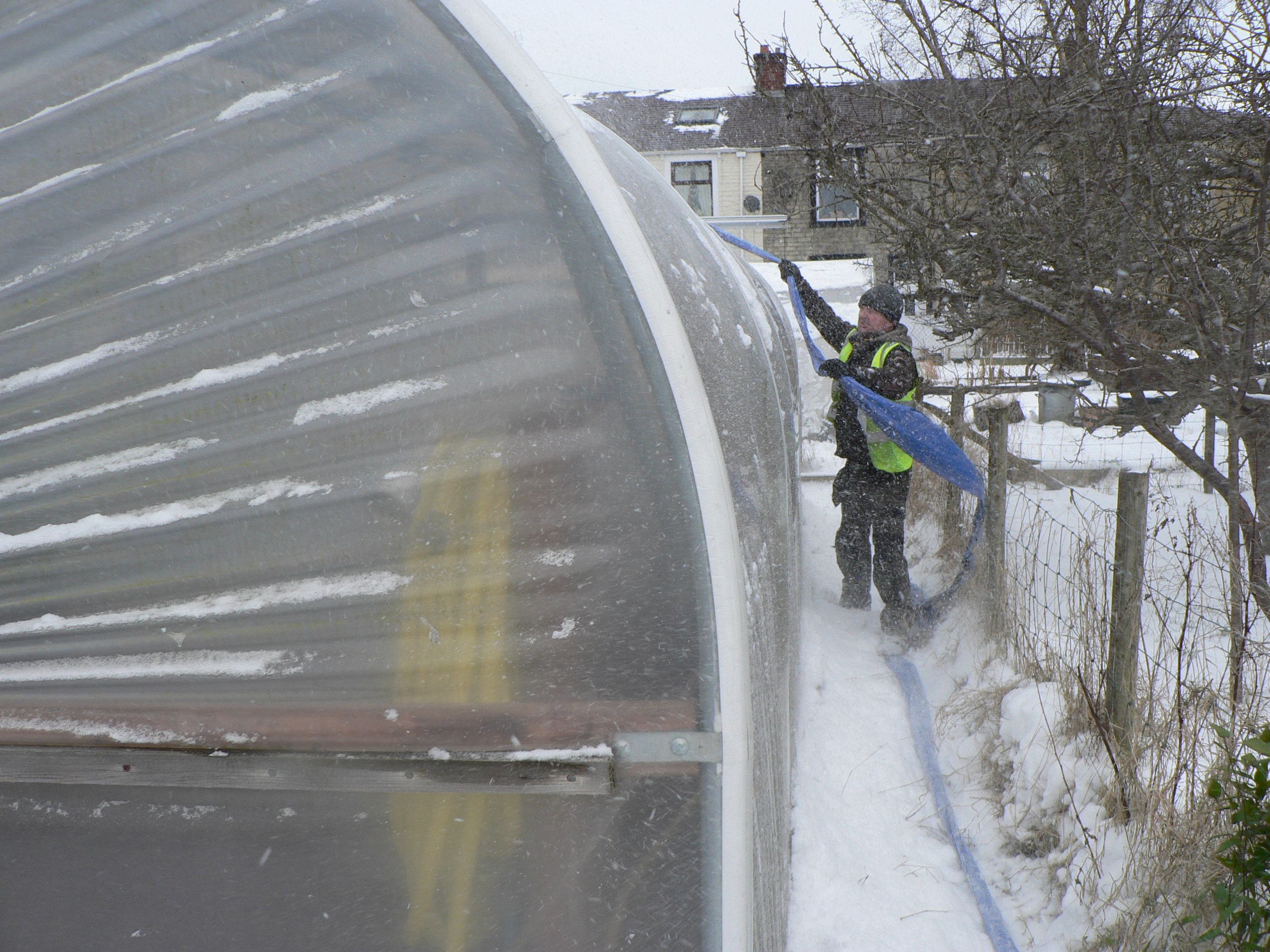 small winter garden ideas with a polytunnel