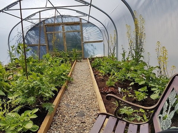 domestic polytunnel