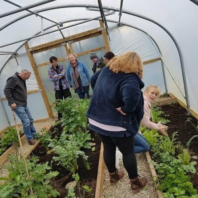 polytunnel gardeners choosing what to grow in a polytunnel