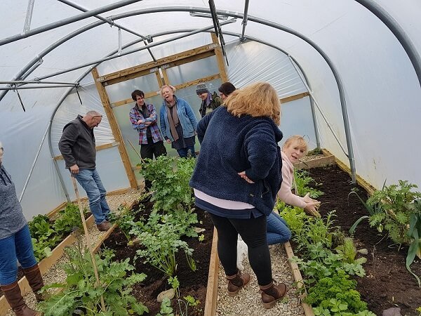 polytunnel gardeners choosing what to grow in a polytunnel