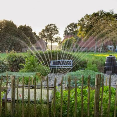 water feature in transformed garden