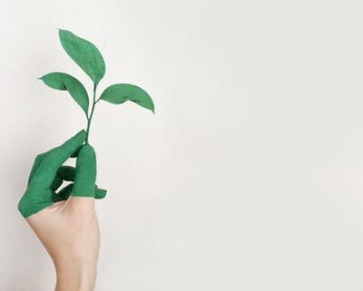 green hand with leaves