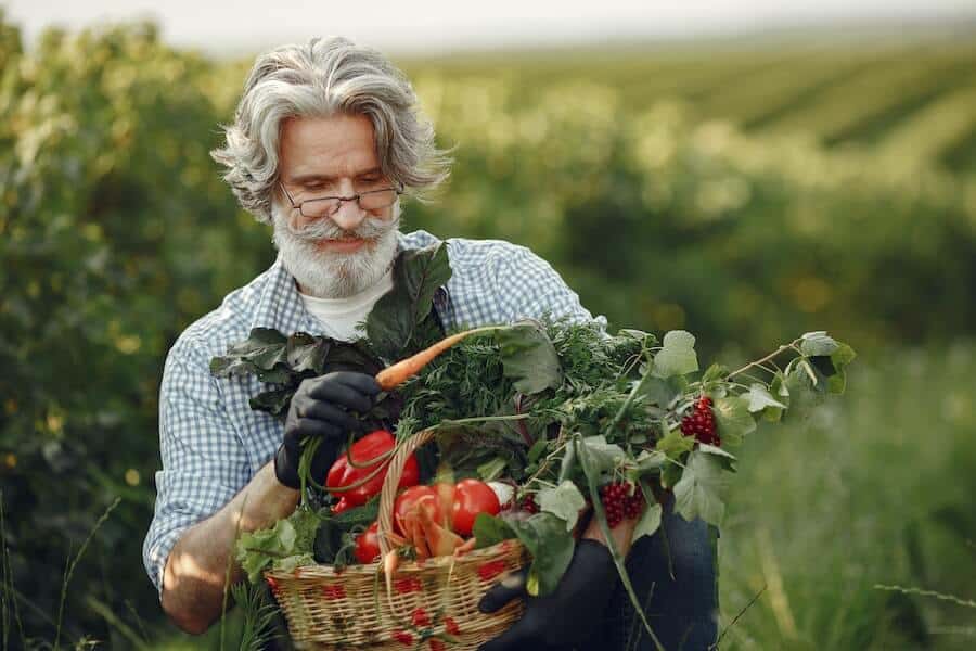 a gardener with vegetables picked from a biodiverse garden