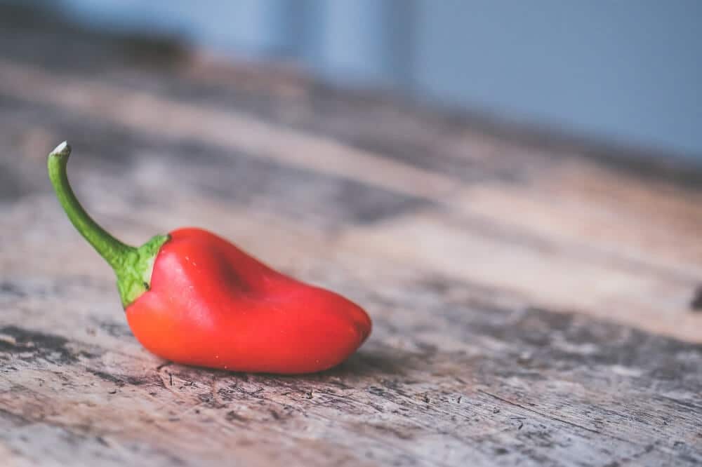 Pimental Choosing and Growing Heritage Peppers | First Tunnels