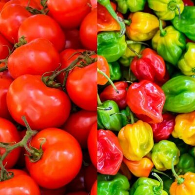 tomatoes and peppers