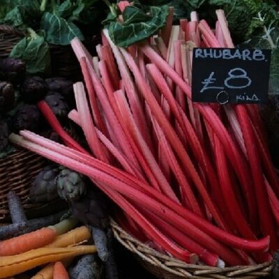 Rhubarb