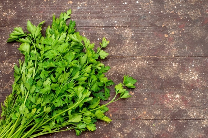 bolting parsley