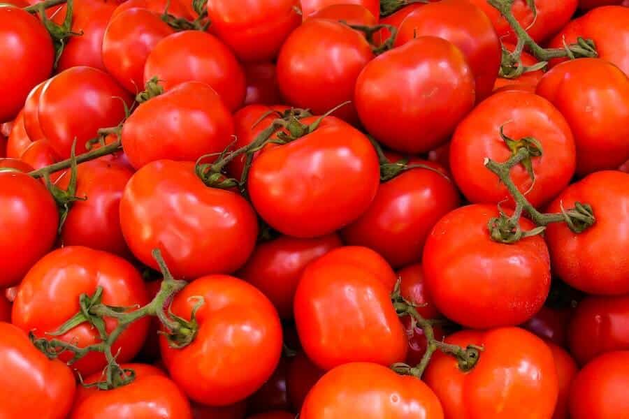 a glut of homegrown tomatoes