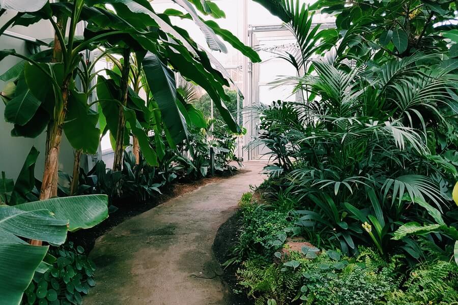 covered garden path connecting indoor outdoor rooms