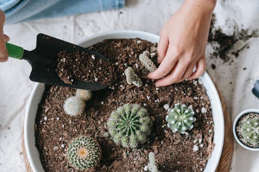 mixing soil in pot