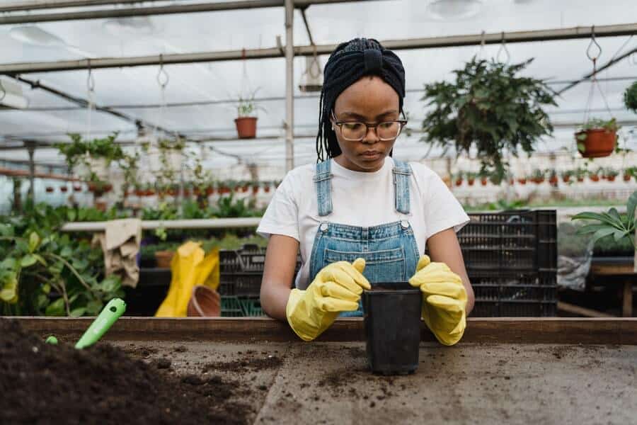 gardener using compost vs potting soil to pot a plant