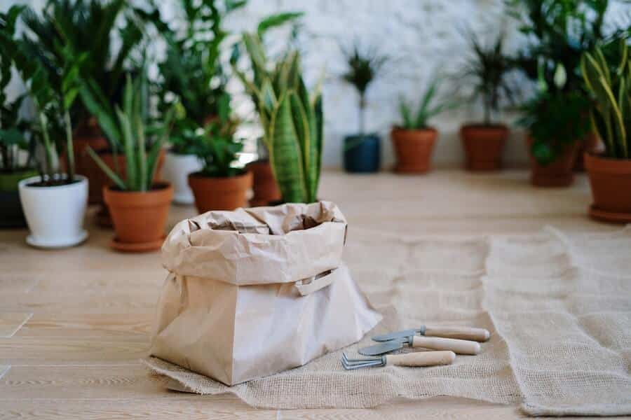 bag of compost vs potting soil