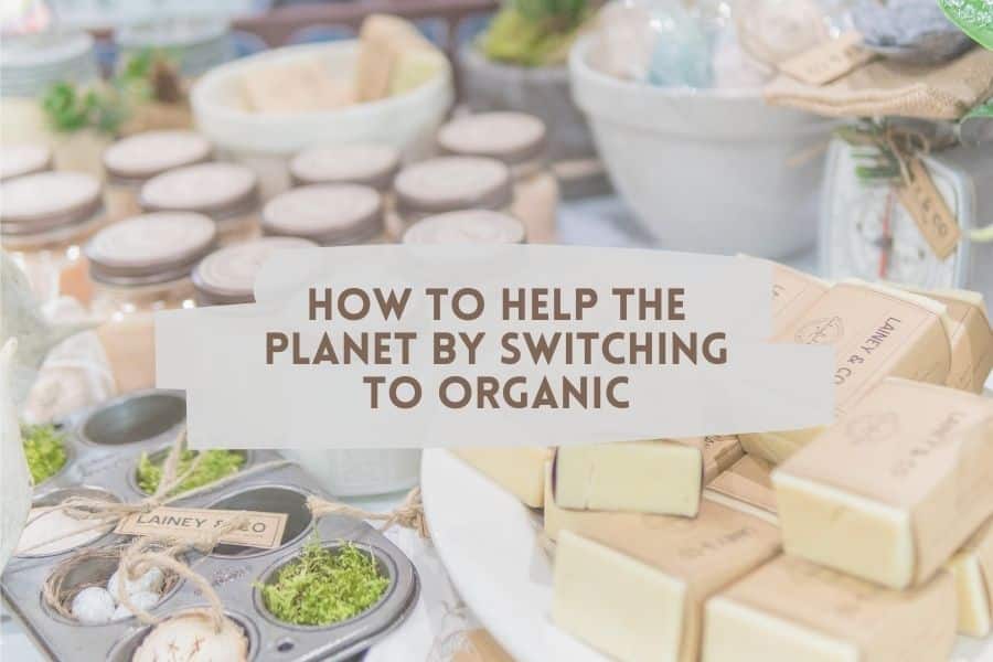 How to help the planet by switching to organic growing