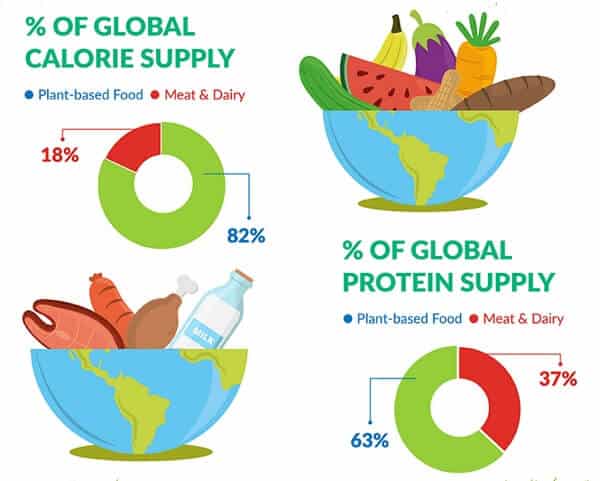 World's calorie supply